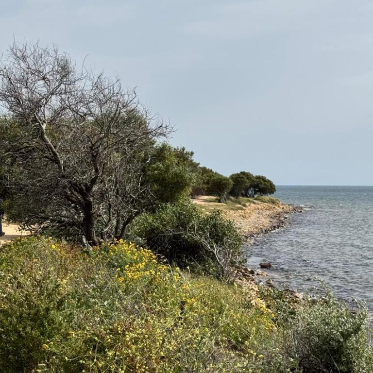 Casa Matilda sul mare - Casa con 2 Camere da Letto - 33