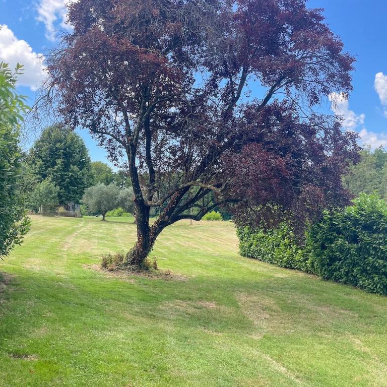 Casale Geos - Villa con Vista Giardino - 42