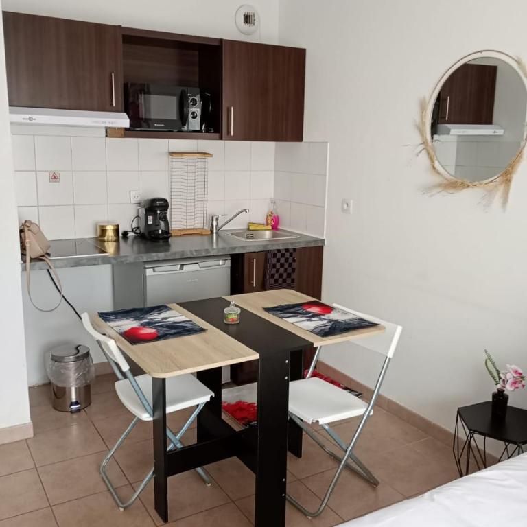 B201 Studio 10 min DisneyLand Paris - Appartamento Standard - 3