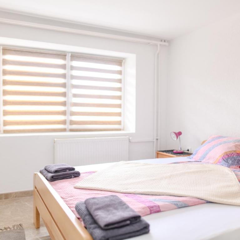 Smestaj STAI, u ulici Nikole Tesle 10, Sokobanja - Two-Bedroom Apartment with Garden View - 7