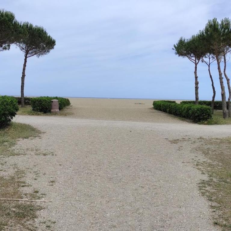 Beach holiday in Argeles-sur-mer, with pool - Appartamento con 2 Camere da Letto e Vista Giardino - 24