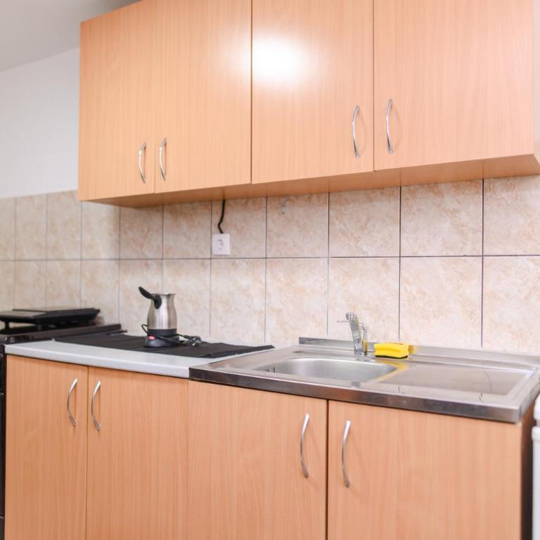 Smestaj STAI, u ulici Nikole Tesle 10, Sokobanja - Two-Bedroom Apartment with Garden View - 15