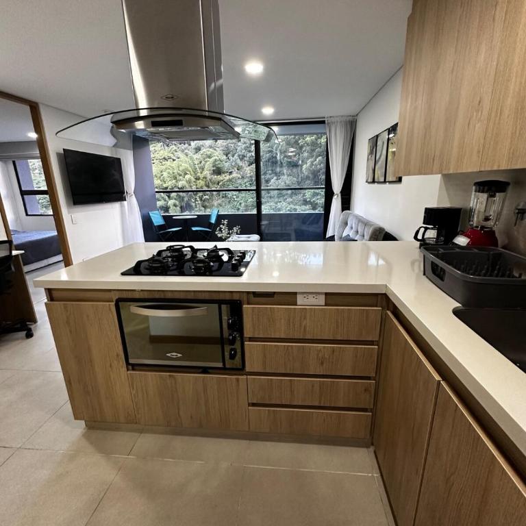 Stylish Mountain View Studios - Apartamento de 1 dormitorio - 1