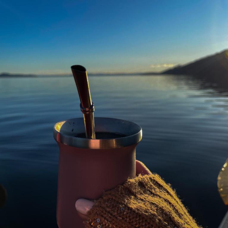 Cabaña a 6 min Lago Ranco - Apartamento de 1 dormitorio - 18