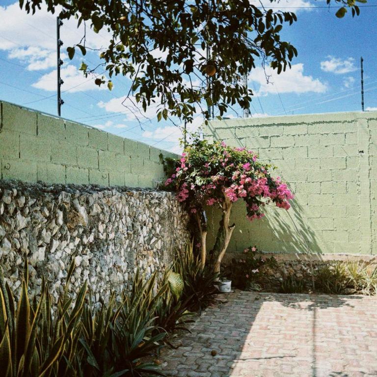 Casa Mimi - Tu refugio en Merida - Casa de 2 dormitorios - 6