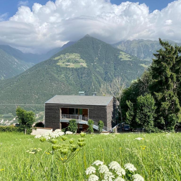 Dahoam - Gardenchalet - Appartamento con 1 Camera da Letto - 22