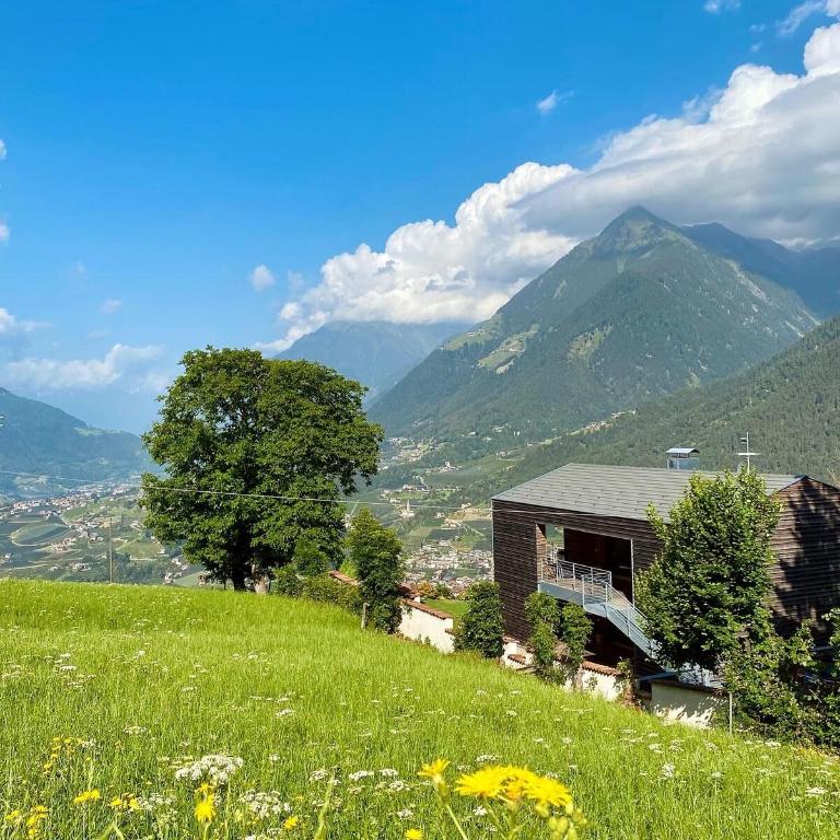 Dahoam - Panoramchalet - Appartamento con 1 Camera da Letto - 42