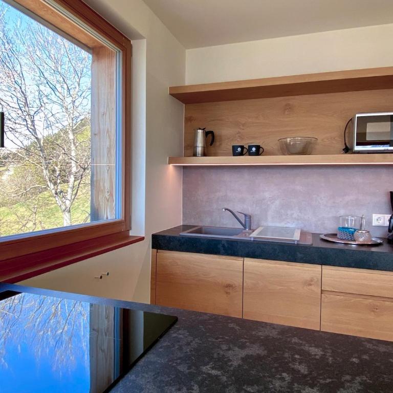 Dahoam - Panoramchalet - Appartamento con 1 Camera da Letto - 46
