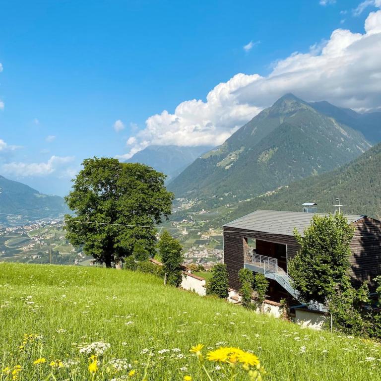 Dahoam - Panoramchalet - Appartamento con 1 Camera da Letto - 63