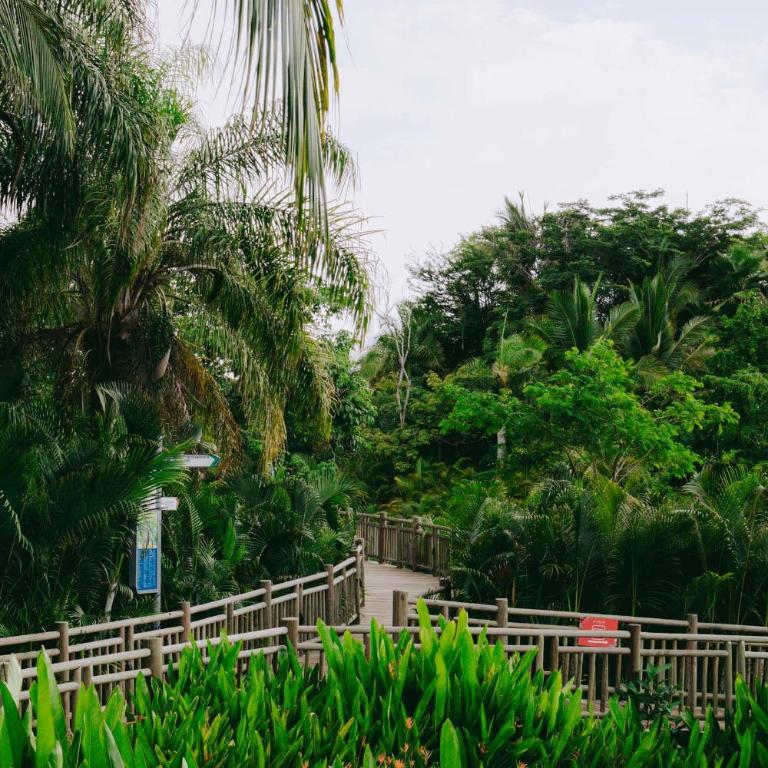 Beautiful Seibal Stay w Vidanta Resort Access - Apartamento - 42