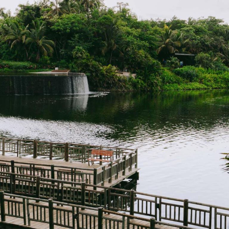 Beautiful Seibal Stay w Vidanta Resort Access - Apartamento - 43
