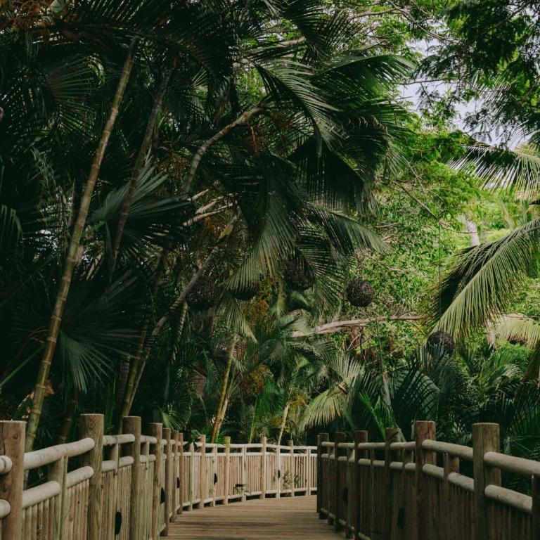 Beautiful Seibal Stay w Vidanta Resort Access - Apartamento - 53