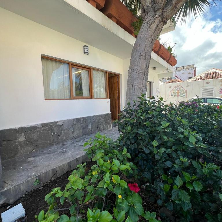 Oasis del Puerto Spacious Premium Apartment - Apartamento de 1 dormitorio - 7