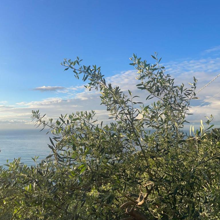 Ariadimare guest house - Monolocale con Vista Mare - 76