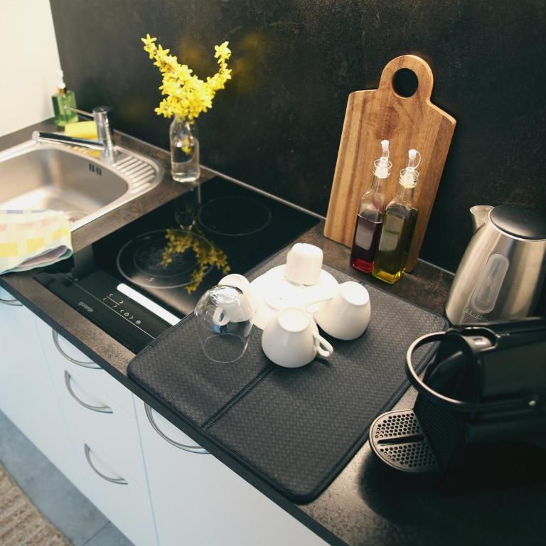 SEE & THE CITY apartments - Two-Bedroom Apartment with Terrace - 14