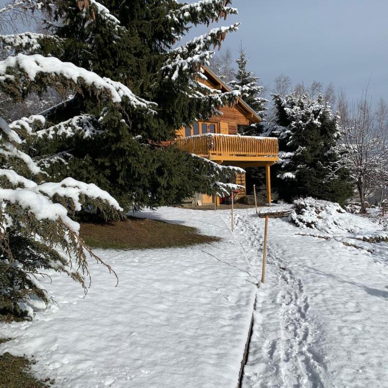 Chalet spa bath fireplace ski-in out - Chalet - 11