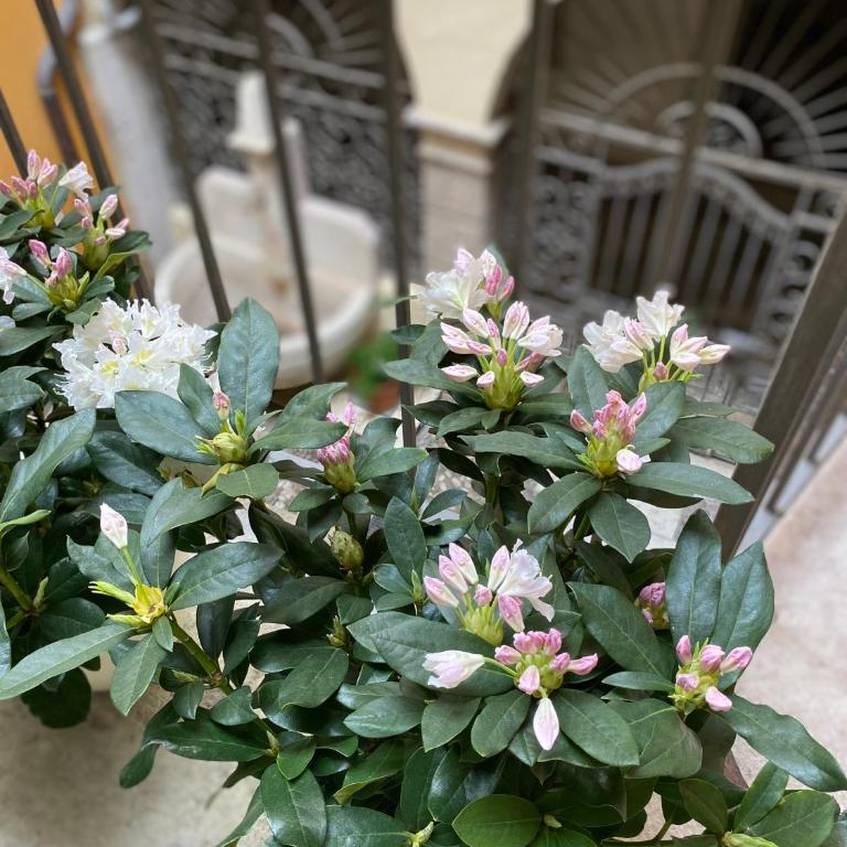 Rebassotto - Apartamento de 2 dormitorios - 10