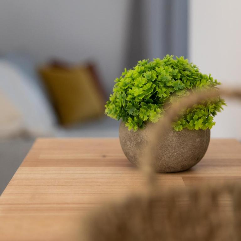 Los Molinos, confort, estilo y privacidad en Barrio Estación - One-Bedroom Apartment - 12