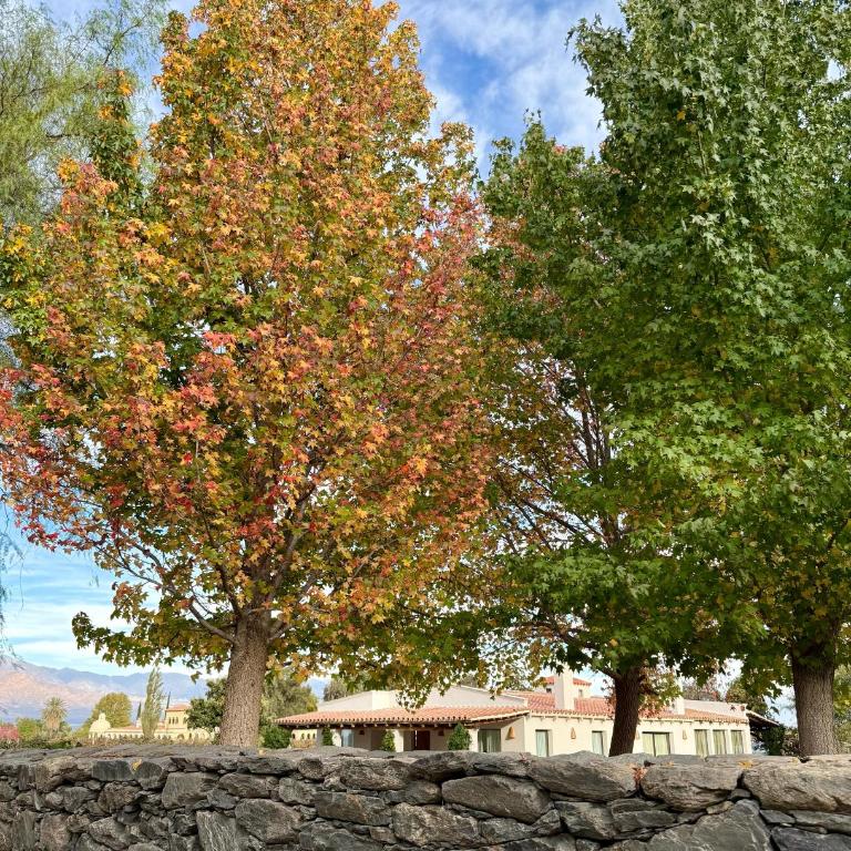 Finca El Recreo - Superior Chalet - 7