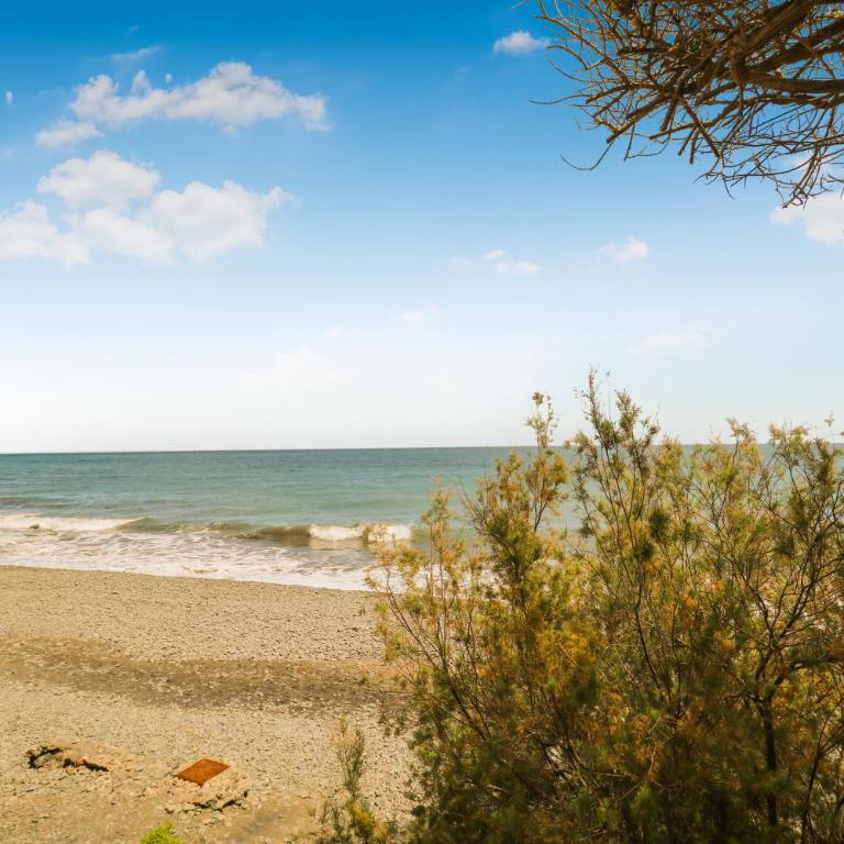 Aguila Playa Beach Escape - Apartamento de 1 dormitorio - 19