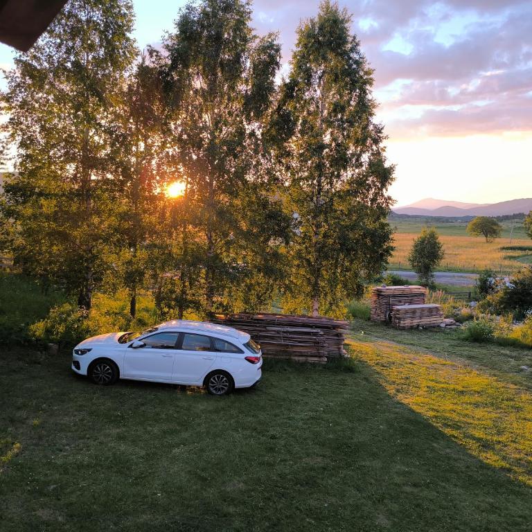 Vukov Konak - Wolf's lodge - Dvokrevetna Soba sa Bračnim Krevetom - 38