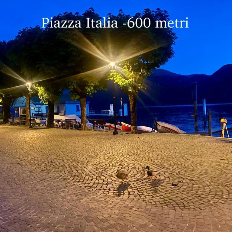 Holiday home Black Eagle - Casa con 1 Camera da Letto - 4