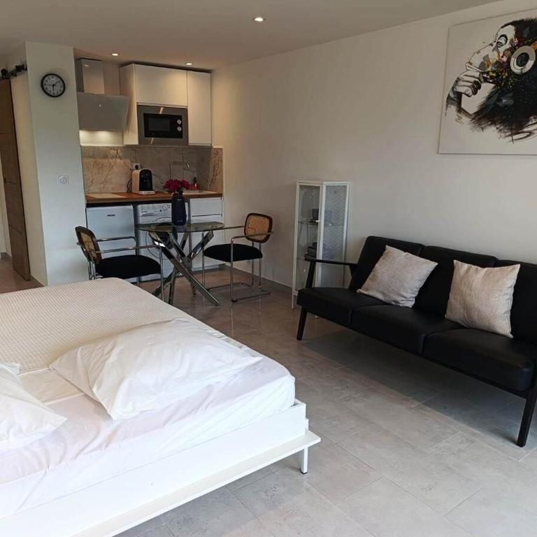 Studio avec terrasse dans résidence en face de la mer et Parking privatif- CANNES MIDI - Appartement 1 Chambre - 8