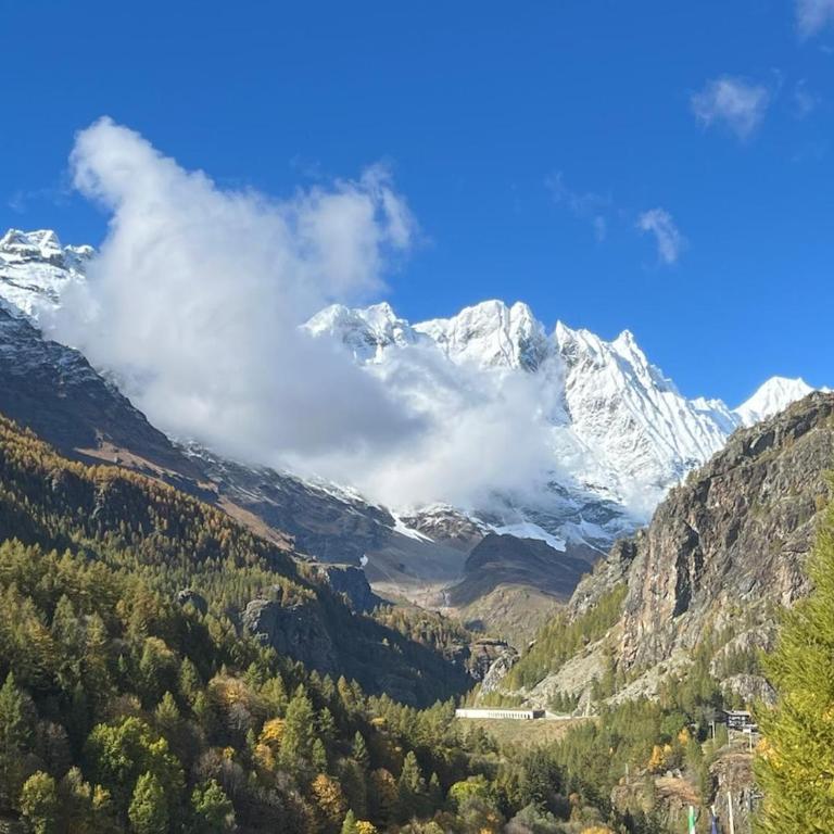 Abri cache in Valtournenche - Apartamento de 2 dormitorios - 5