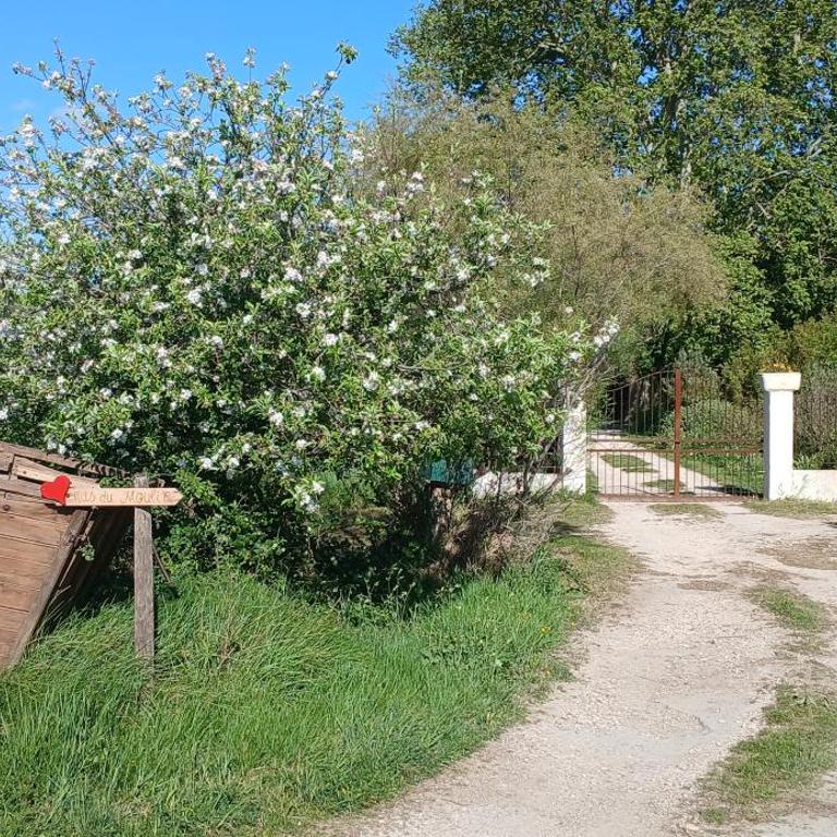 MAS DU MOULIN Chambre d'hôte Vaccarès - Chambre Double - Vue sur Jardin - 13