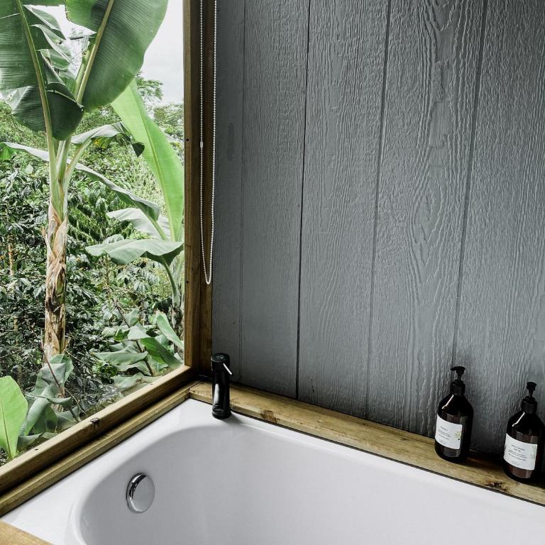 Hotel La Palma y El Tucán - Café y Naturaleza - Bungalow Estándar - 25