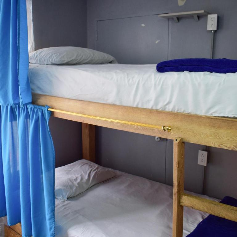 Viajero Hostel - Cama en habitación compartida de 6 camas - 3
