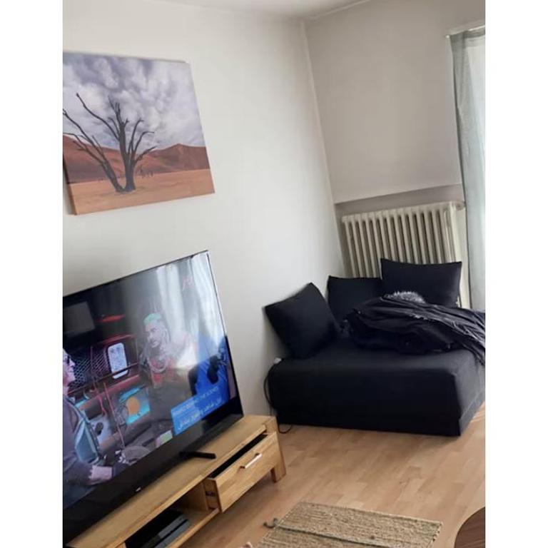Shared Apartment in Horw Luzern - Apartment mit 1 Schlafzimmer - 2