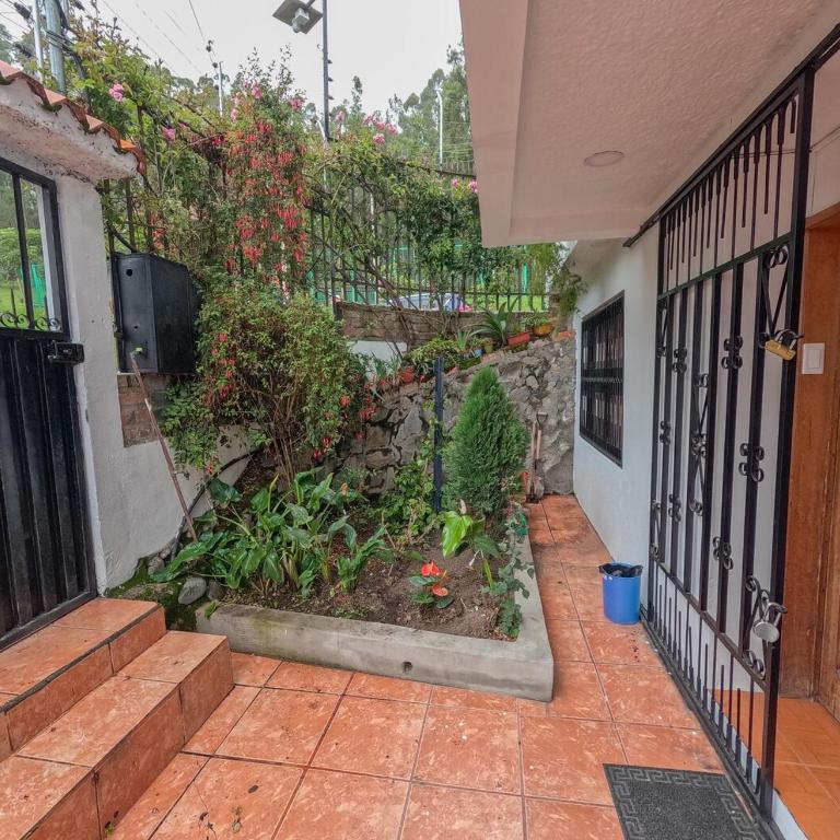Casa amplia frente a un parque, se aceptan mascotas - Casa de 4 dormitorios - 6