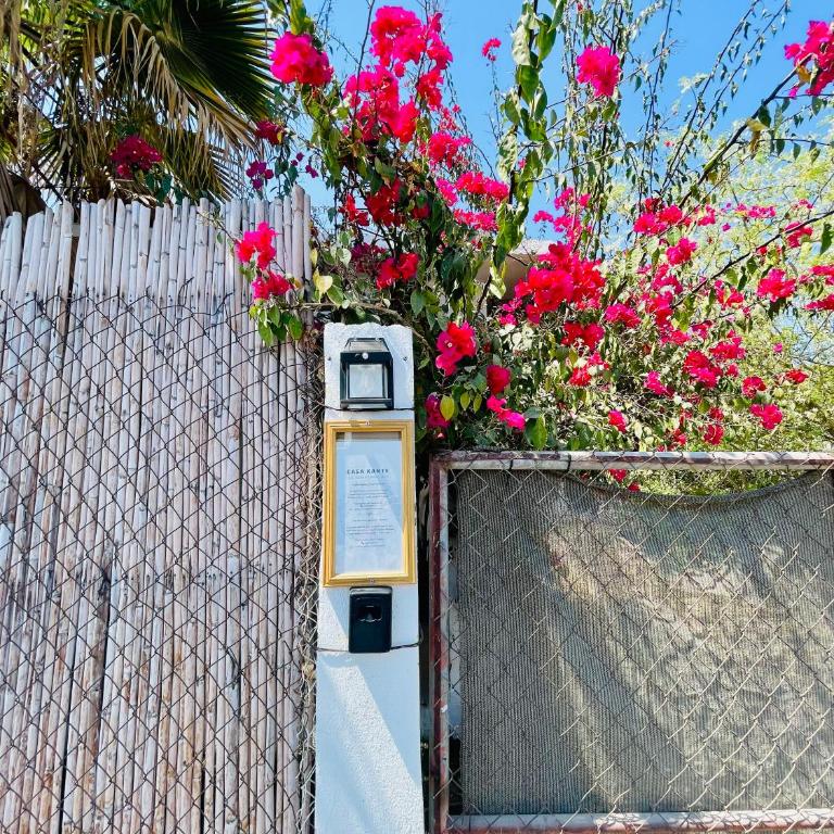 Casa Kante centro histórico 2bed 2Bath parking - Casa de 2 dormitorios - 33