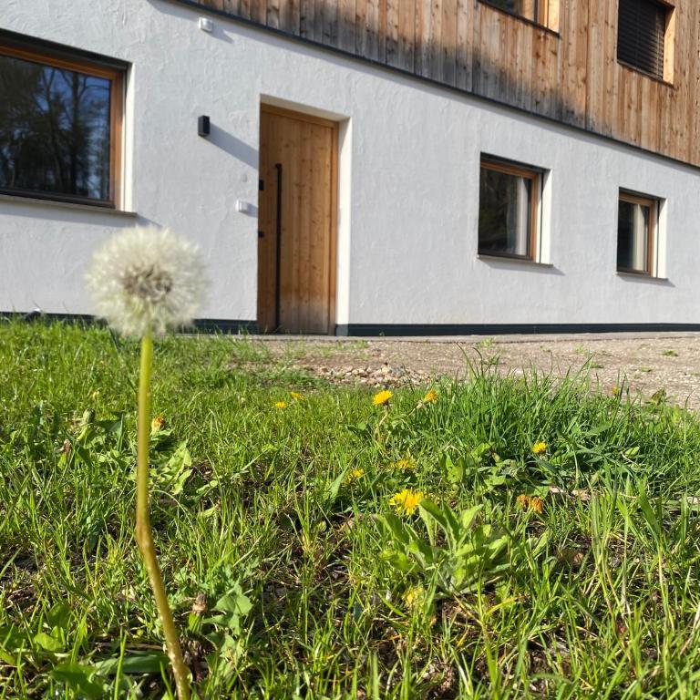 Birchboden Lodge - Apartment mit 2 Schlafzimmern - 25