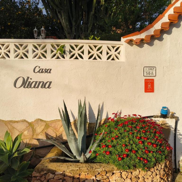 Casa Oliana - Apartamento de 2 dormitorios - 19