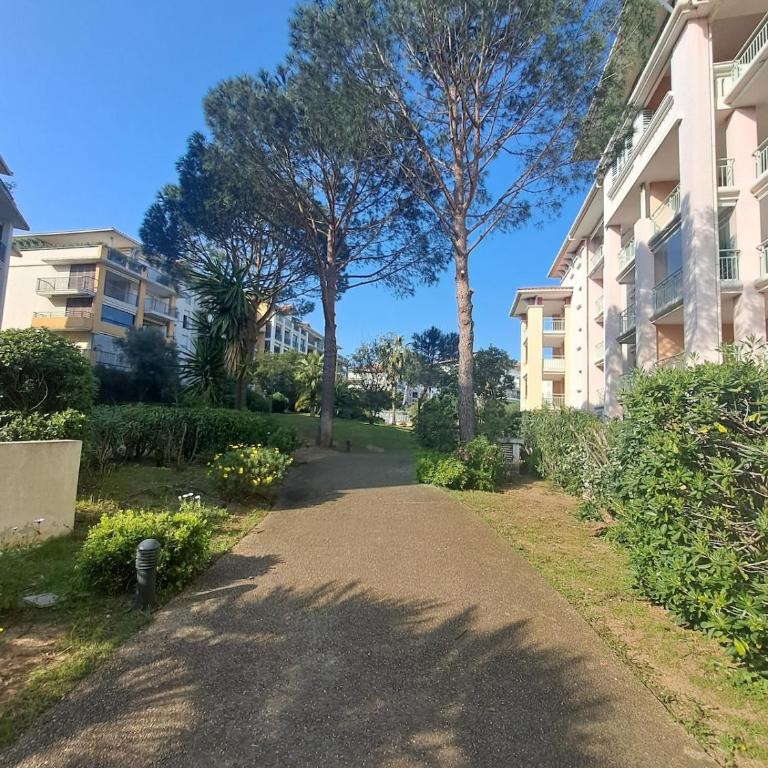 Grand T3 avec Terrasse et Jardin - Apartamento de 2 dormitorios - 6