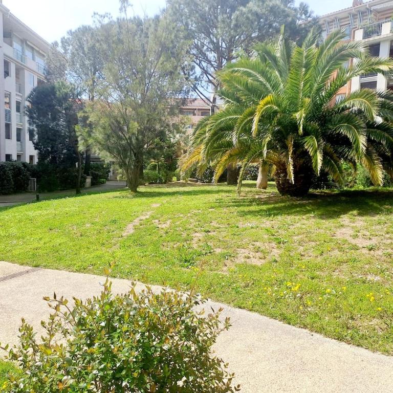 Grand T3 avec Terrasse et Jardin - Apartamento de 2 dormitorios - 23