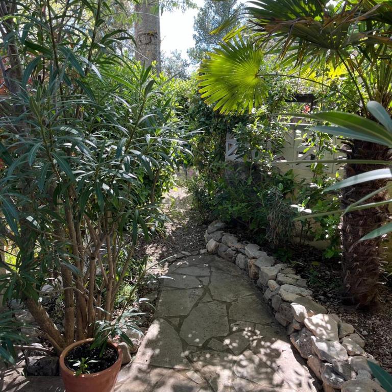 Maisonnette de charme dans domaine naturiste au pied du Mont Ventoux ! - Maison 2 Chambres - 3