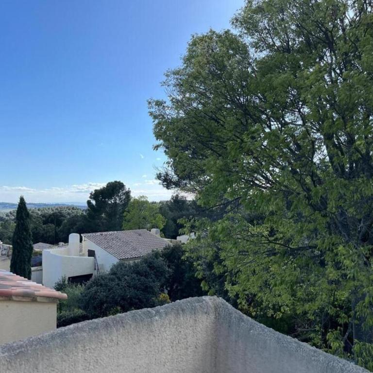 Maisonnette de charme dans domaine naturiste au pied du Mont Ventoux ! - Maison 2 Chambres - 8