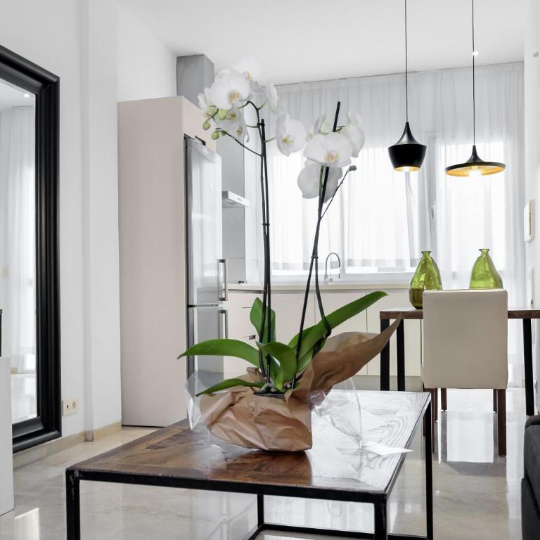 Suites Campo del Príncipe by Maxi Hoteles - Standard Apartment - 4