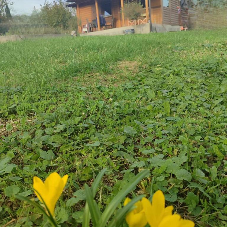 Jos 5 minuta - Kuća sa 1 Spavaćom Sobom - 14