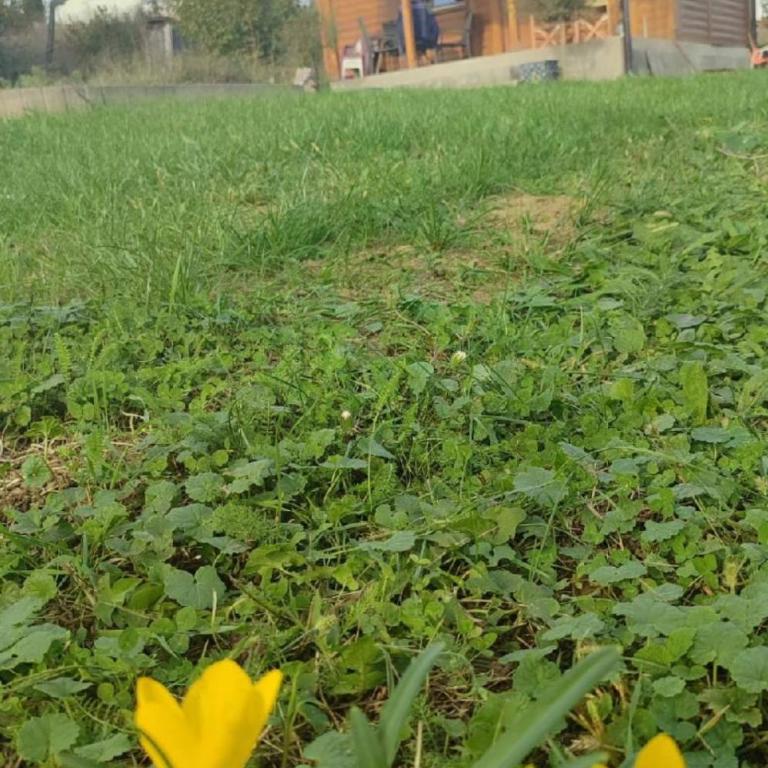 Jos 5 minuta - Kuća sa 1 Spavaćom Sobom - 27