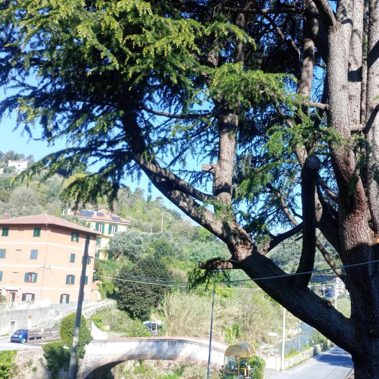 Casa Sabrina - Appartamento con 1 Camera da Letto - 18