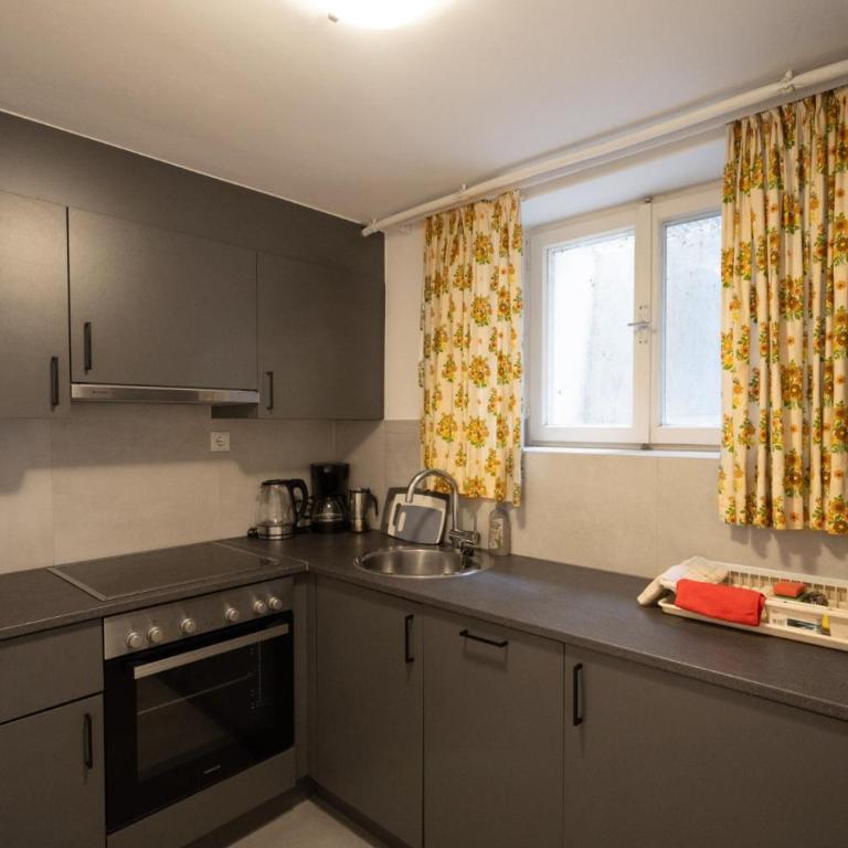 Großraumappartement mit Gartenterrasse - Apartment mit 1 Schlafzimmer - 5
