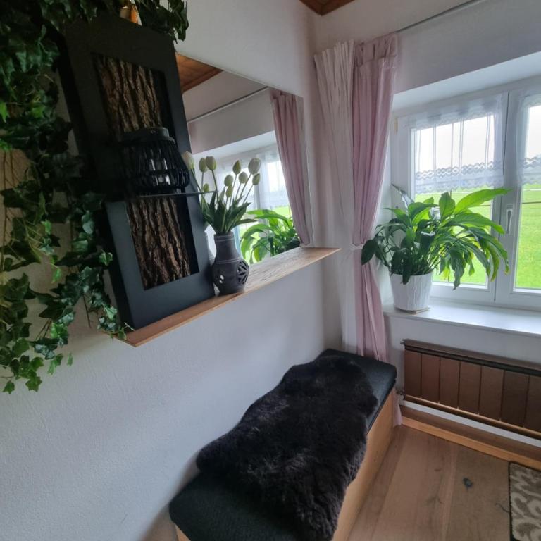 Ferienwohnung Anna - Apartment mit Balkon - 12