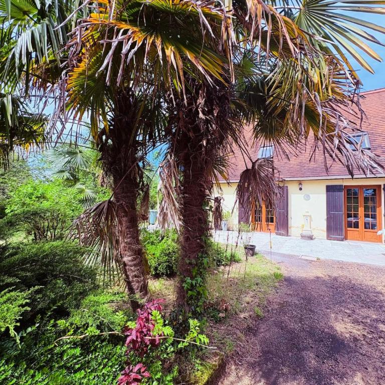 Maison de Campagne à 2km du centre de SARLAT - Villa - 1