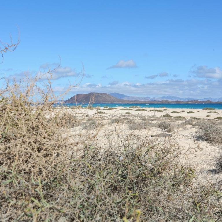 Alba & Daniel's Suite con Vista su Lobos, Corralejo - Two-Bedroom Apartment - 22
