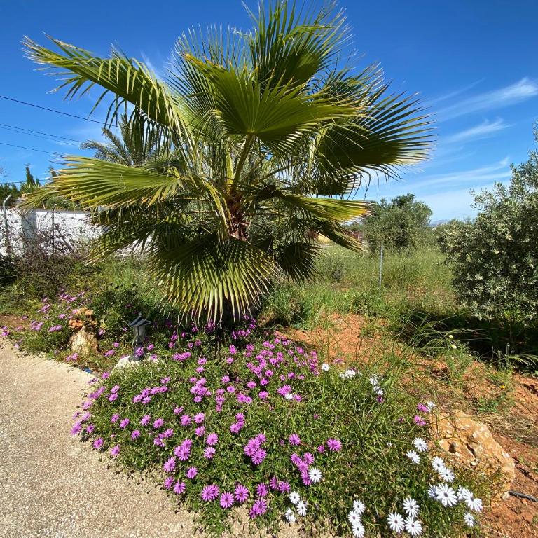 Finca el Pereo - Two-Bedroom House - 20