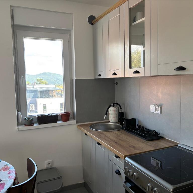 Apartman Mirka, Vrnjačka Banja - Apartman sa 1 Spavaćom Sobom - 7
